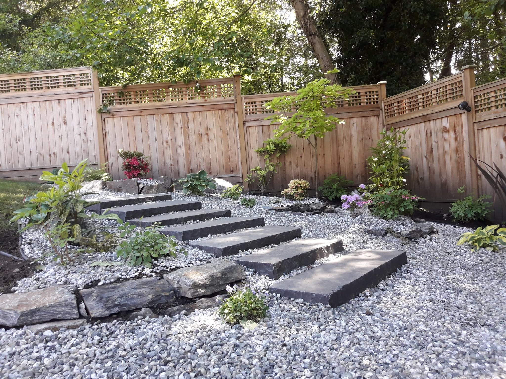Front yard garden transformation with fresh plantings