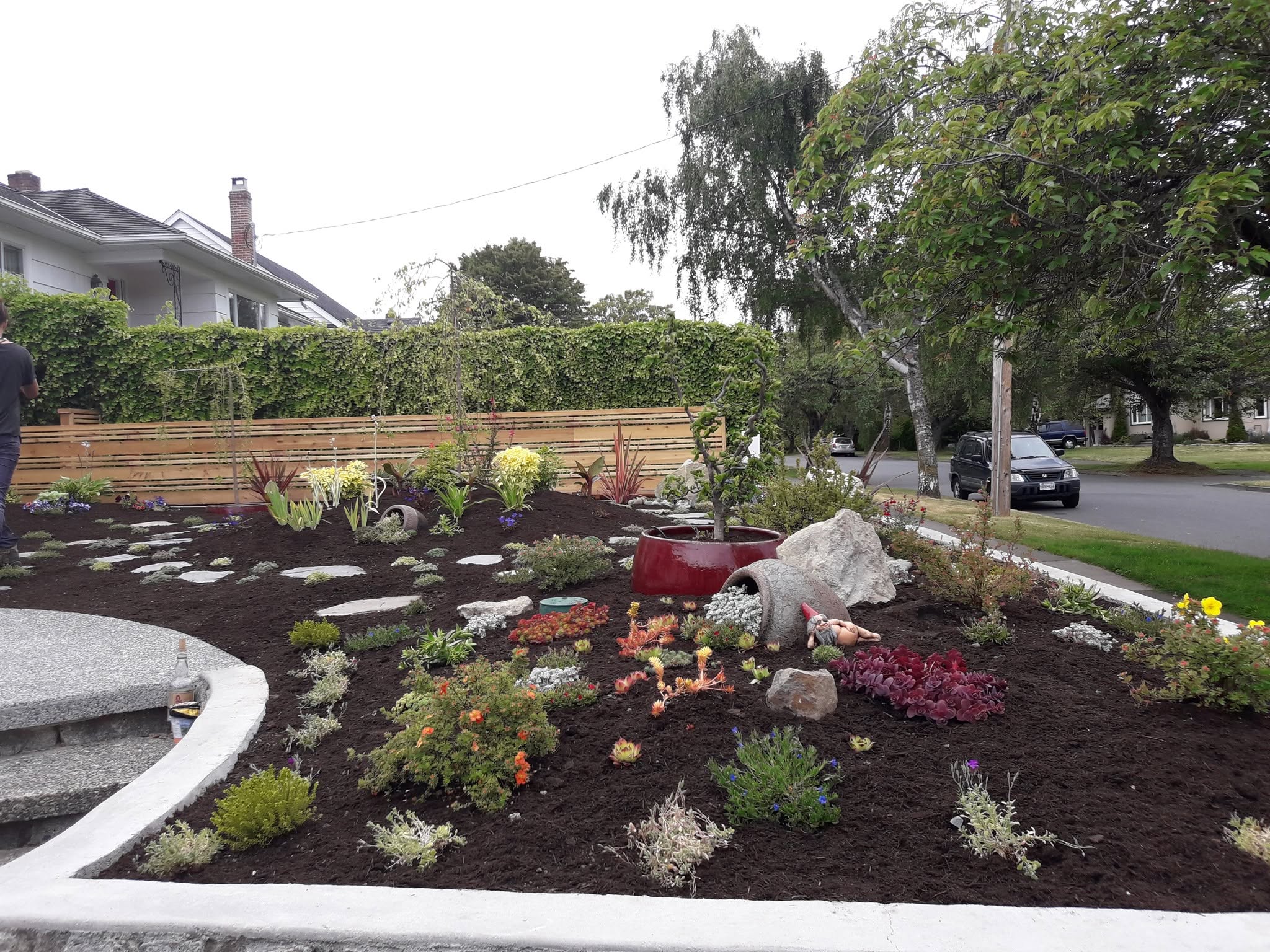 Professionally shaped hedges and topiary