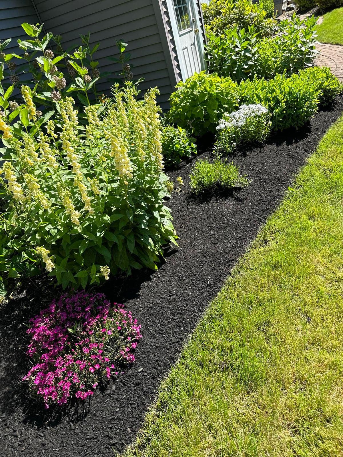 Garden installation with lush plantings